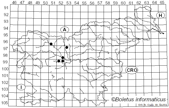 <i>Sporisorium destruens</i> (Schltdl.) Vánky (1985)
