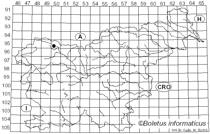 <i>Tubulicrinis subulatus</i> (Bourdot & Galzin) Donk (1956)