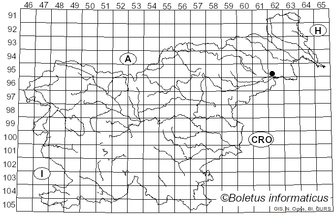 <i>Gibellulopsis</i> Bat. & H. Maia (1959)