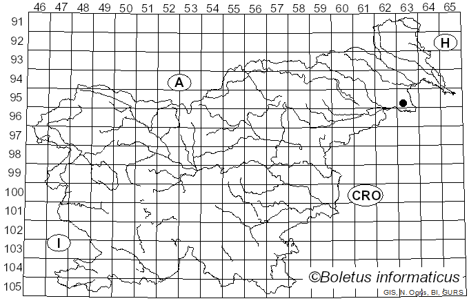 <i>Wuestneia chrysostroma</i> (Fr.) U. Braun & Bensch (2021)