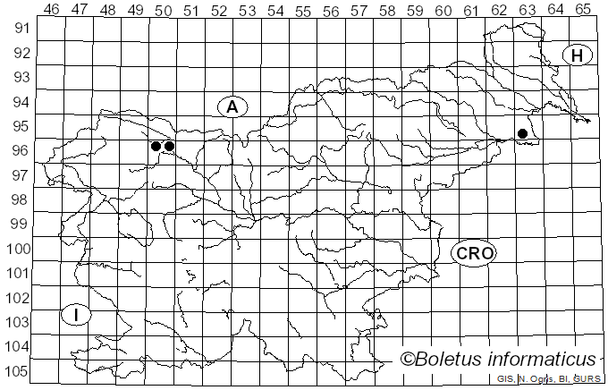 <i>Cristinia</i> Parmasto (1968)