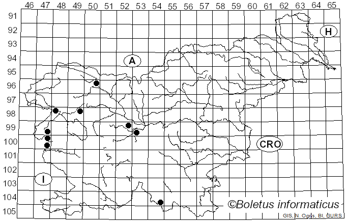<i>Epichloë</i> (Fr.) Tul. & C. Tul. (1865)