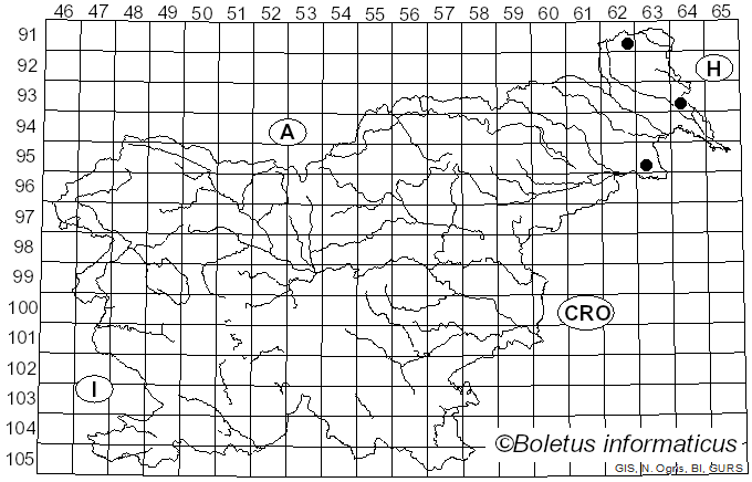 <i>Orbilia eucalypti</i> (W. Phillips & Harkn.) Sacc. (1889)
