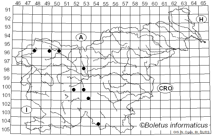 <i>Fuligo septica</i> var. <i>flava</i> (Pers.) Morgan (1895)