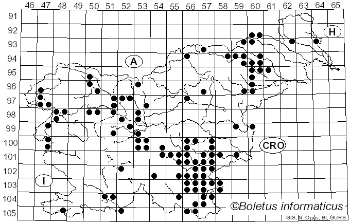 <i>Polyporus tuberaster</i> (Jacq.) Fr. (1815)