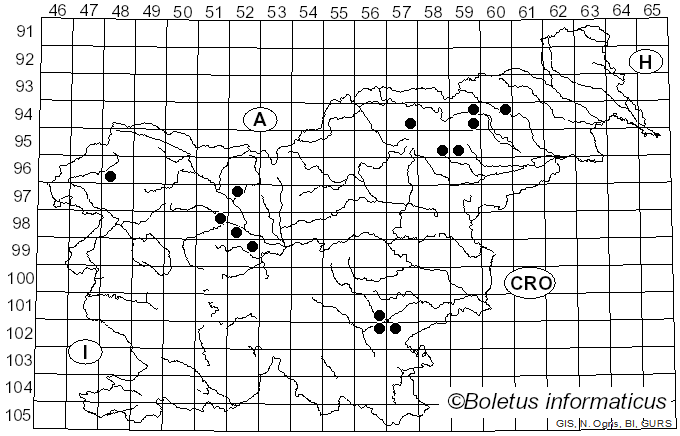 <i>Cortinarius olivaceofuscus</i> Kühner (1955)