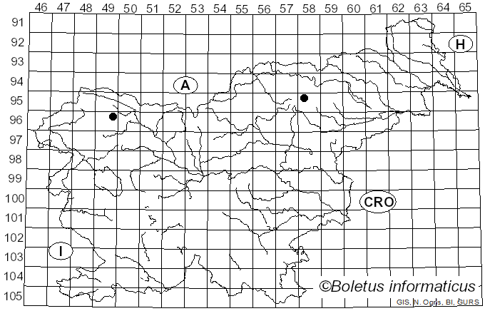 <i>Crocicreas</i> Fr. (1849)