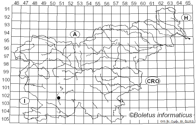 <i>Dactylonectria pauciseptata</i> (Schroers & Crous) L. Lombard & Crous (2014)