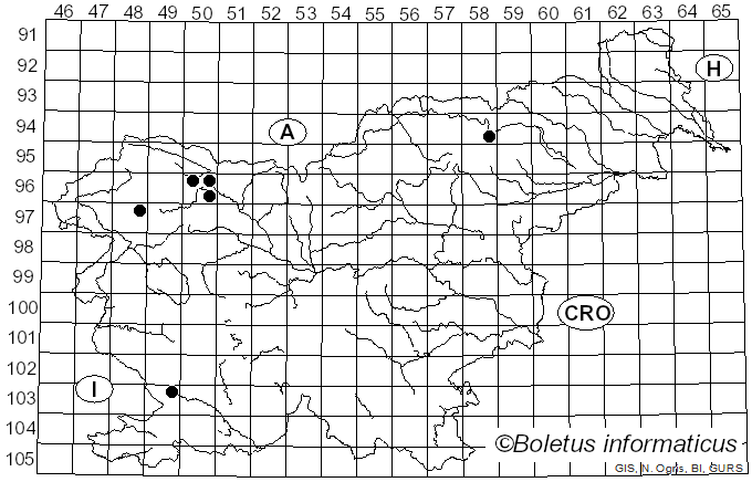 <i>Ionomidotis</i> E.J. Durand ex Thaxt. (1923)
