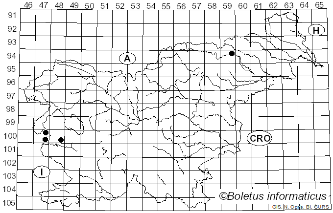 <i>Cortinarius olearioides</i> Rob. Henry (1987)