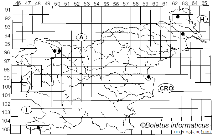 <i>Neodasyscypha</i> Suková & Spooner (2005)