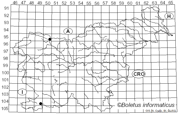 <i>Sydowia</i> Bres. (1895)