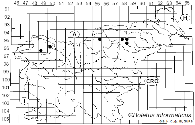 <i>Cyphelium tigillare</i> (Ach.) Ach. (1815)