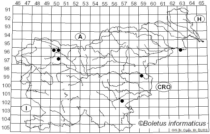<i>Bactridium</i> Kunze (1817)