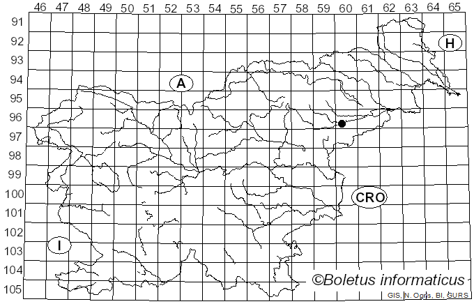 <i>Annulusmagnus</i> J. Campb. & Shearer (2004)