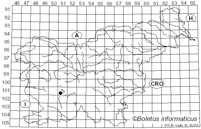 <i>Neocosmospora solani</i> (Mart.) L. Lombard & Crous (2015)